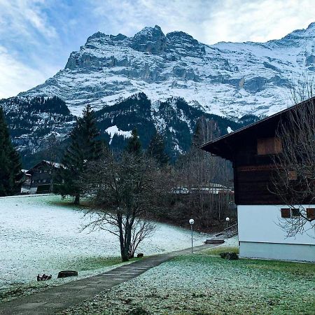 Brand New, 5min to Ski PARADISE ! Grindelwald Zewnętrze zdjęcie
